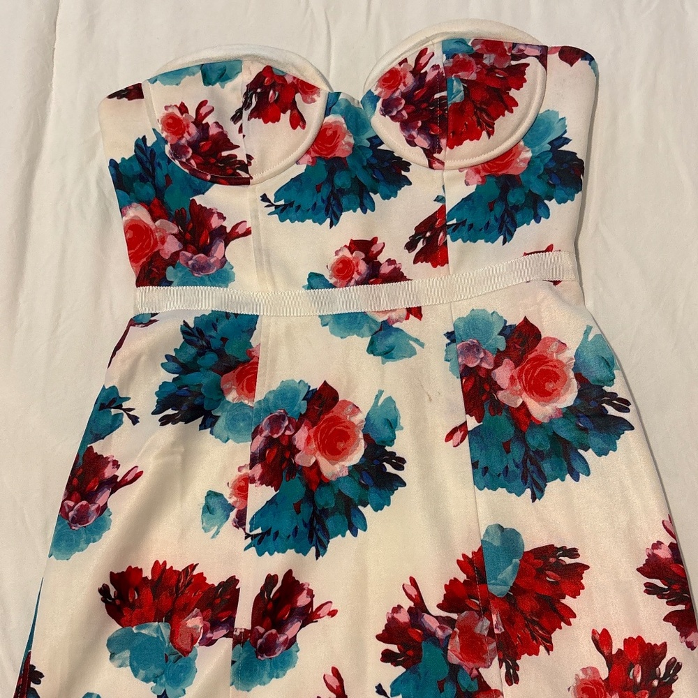 Lovers and friends mini dress